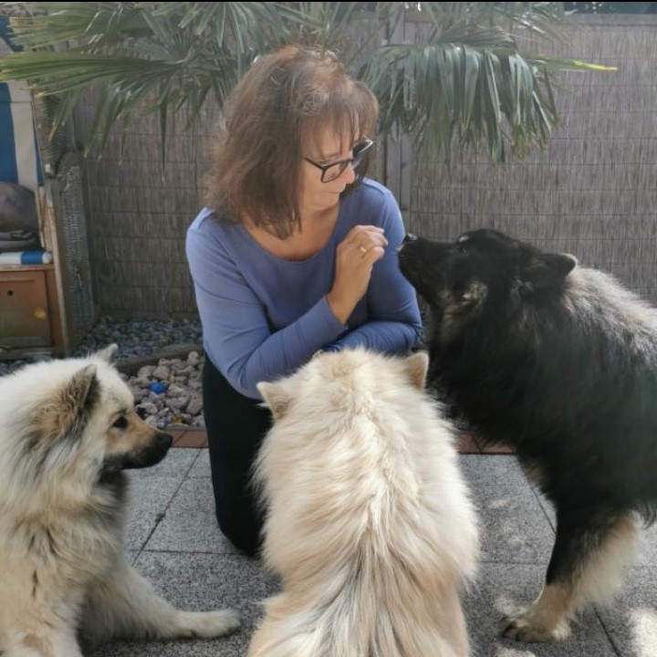 Meine 3